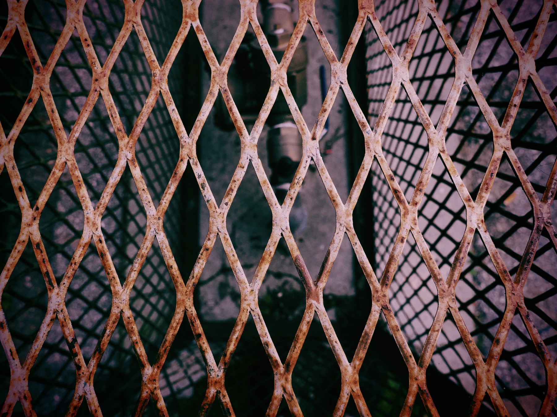 Details collection, photograph 2 — Salt & Shadow