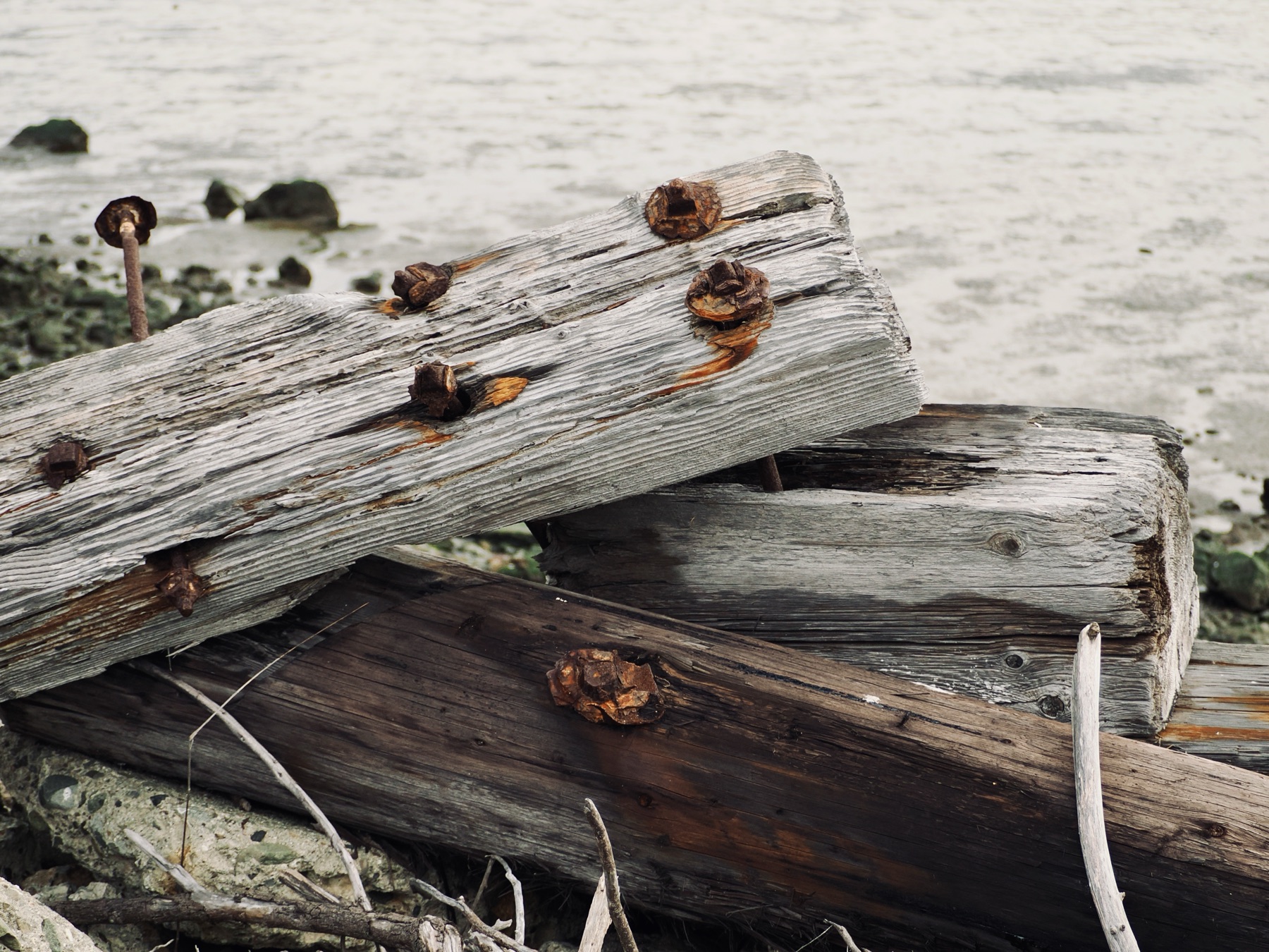 Nature collection, photograph 11 — Salt & Shadow