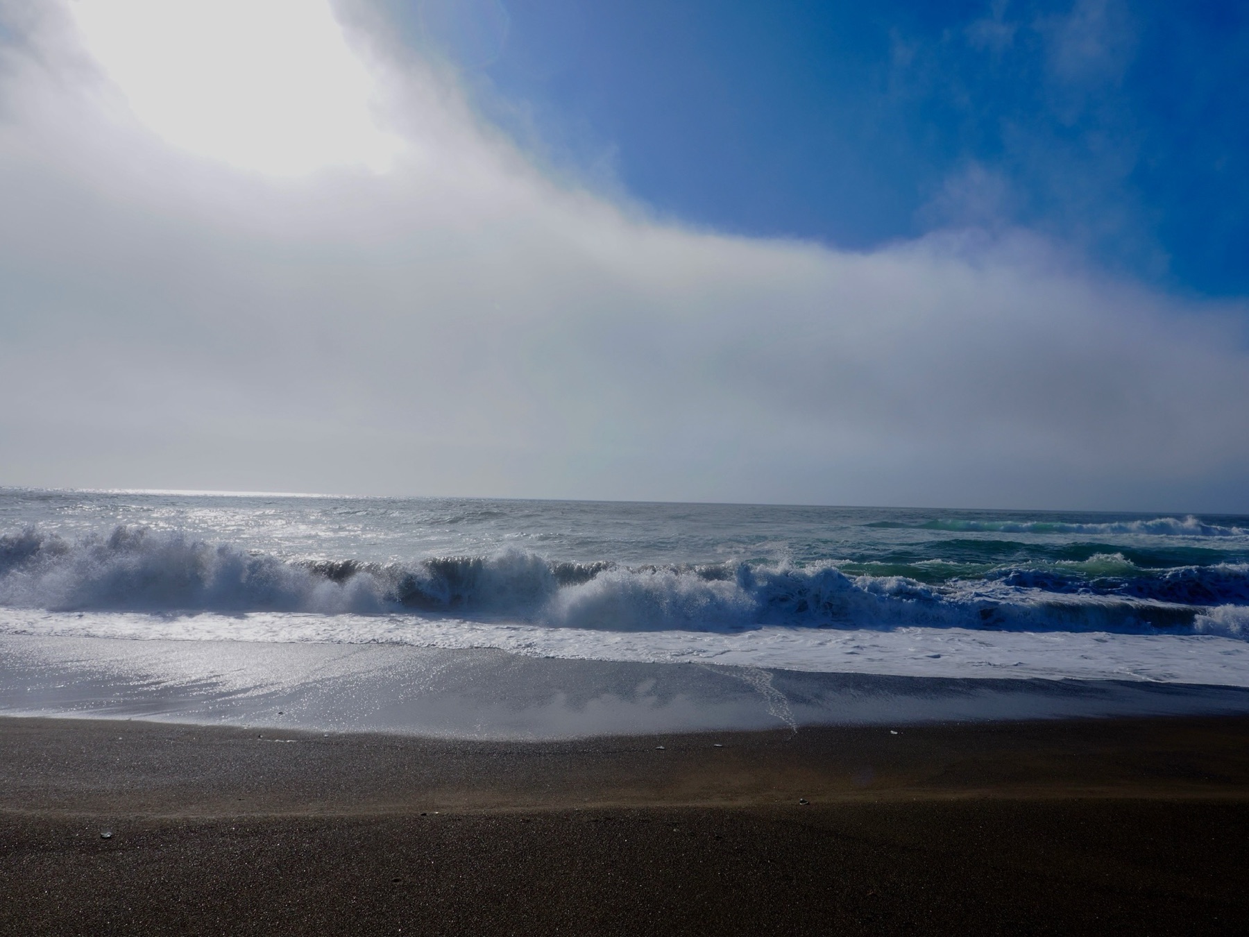 Nature collection, photograph 2 — Salt & Shadow