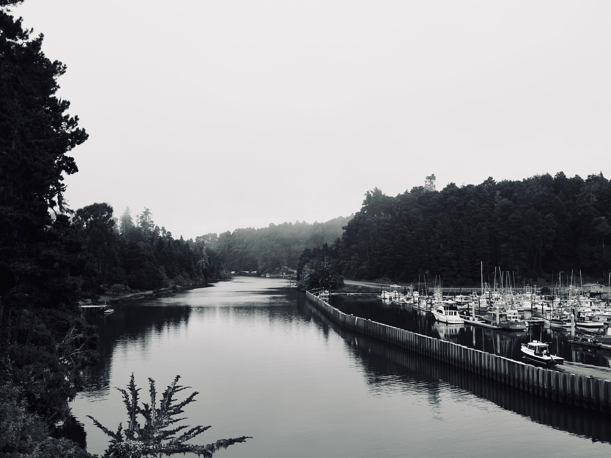 Photography gallery preview image one